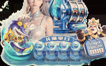 海豚跃出湛蓝海面瞬间